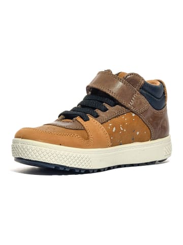 Primigi Leder-Sneakers "Barth 28" in Hellbraun