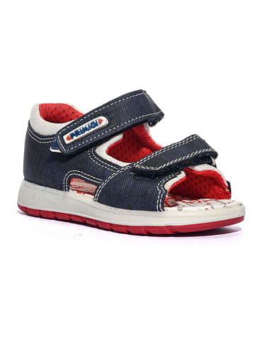 Primigi Sandalen in Dunkelblau