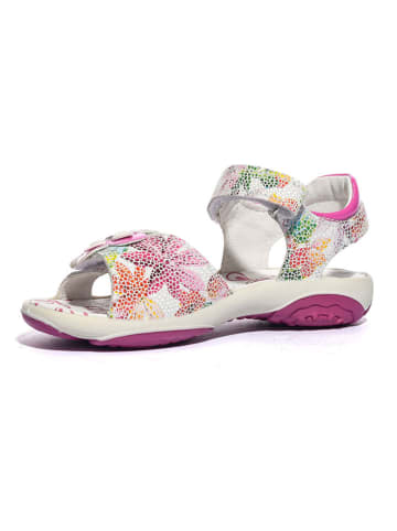 Primigi Leder-Sandalen in Bunt