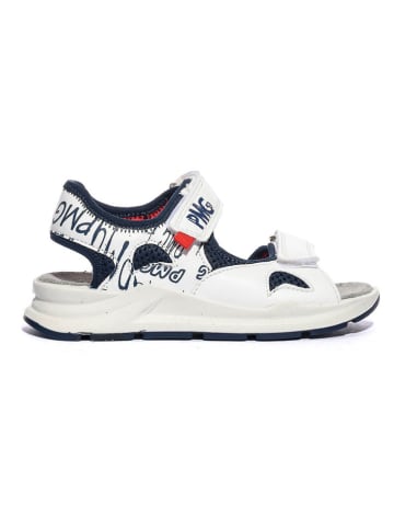 Primigi Sandalen donkerblauw