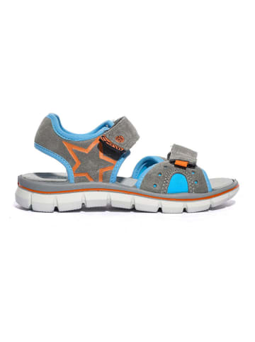 Primigi Leren sandalen grijs/blauw