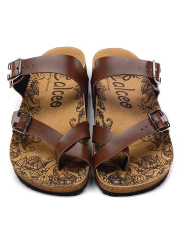 Calceo Teenslippers bruin