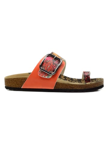 Calceo Teenslippers rood/oranje/meerkleurig