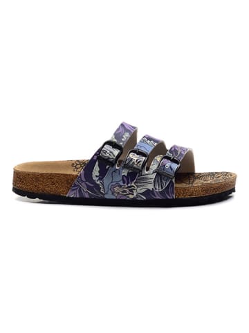 Calceo Slippers meerkleurig