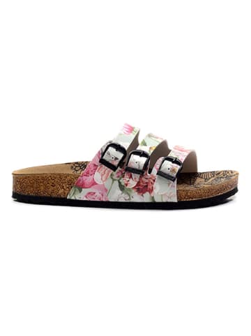 Calceo Pantoletten in Bunt