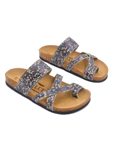 Calceo Teenslippers meerkleurig