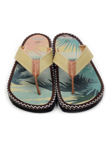 Calceo Zehentrenner in Bunt