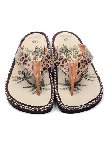 Calceo Teenslippers beige/meerkleurig