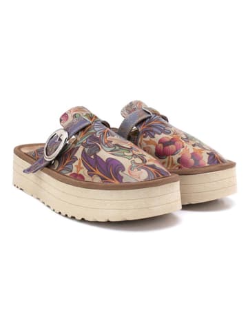 Calceo Clogs in Bunt