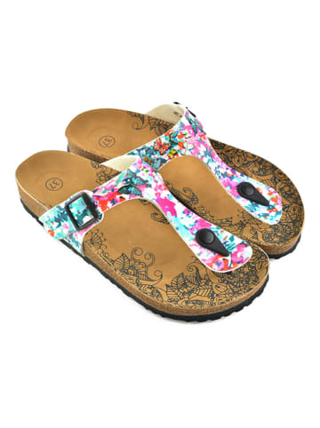 Calceo Zehentrenner in Bunt