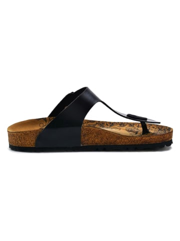 Calceo Teenslippers zwart