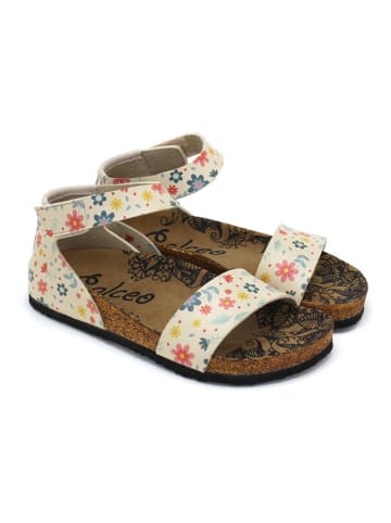 Calceo Sandalen in Beige/ Bunt