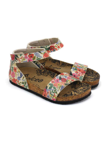 Calceo Sandalen meerkleurig