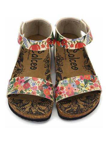 Calceo Sandalen in Bunt