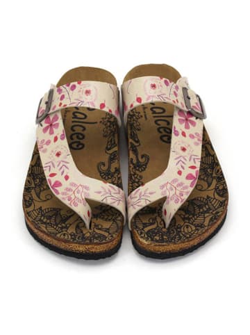 Calceo Zehentrenner in Creme/ Rosa