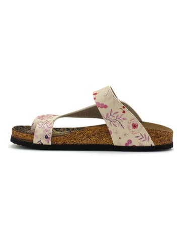 Calceo Zehentrenner in Creme/ Rosa