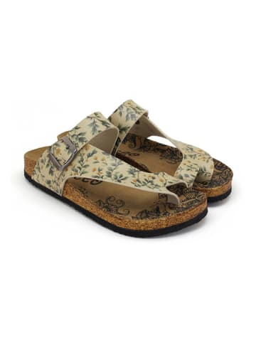 Calceo Teenslippers geel/groen