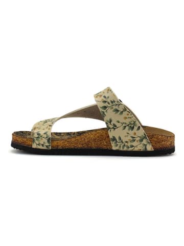 Calceo Teenslippers geel/groen