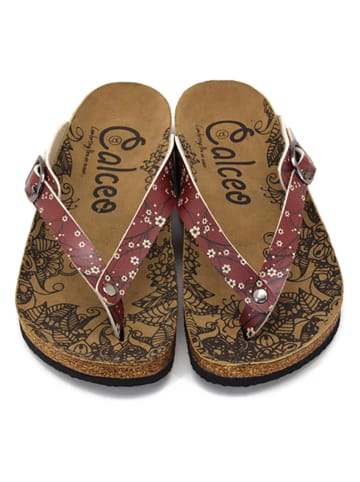 Calceo Teenslippers bordeaux