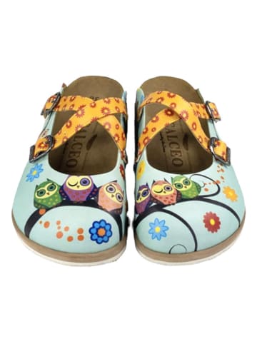 Calceo Clogs in Türkis/ Bunt