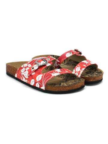 Calceo Klapki w kolorze czerwono-białym