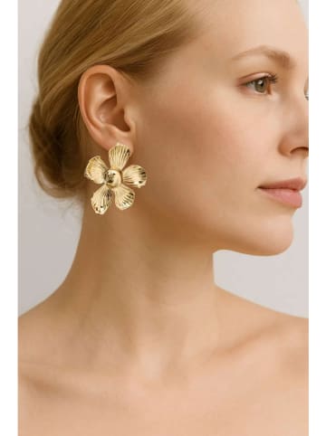 Heliophilia Oorstekers