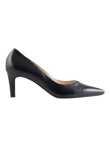 Högl Leder-Pumps "Boulevard 60" in Schwarz