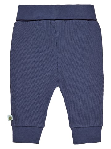 Sterntaler® Sweathose in Blau