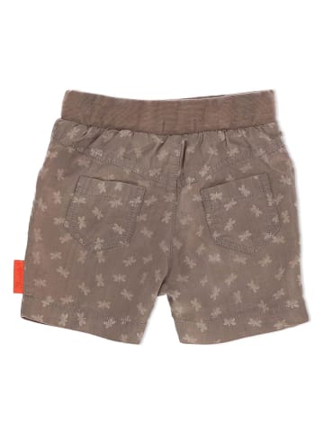 Sterntaler® Shorts in Hellbraun