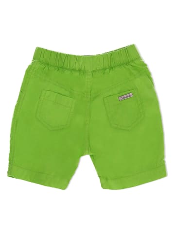 Sterntaler® Shorts in Grün