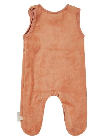 Sterntaler® 2tlg. Outfit in Orange/ Creme