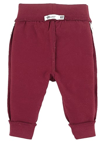 Sterntaler® Sweathose in Bordeaux