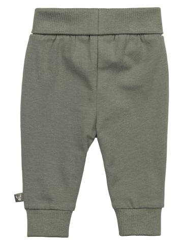 Sterntaler® Sweathose in Khaki