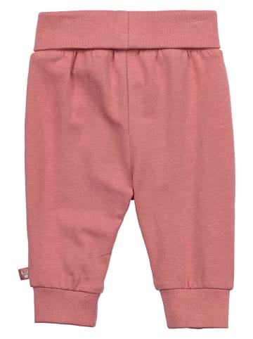 Sterntaler® Sweathose in Pink