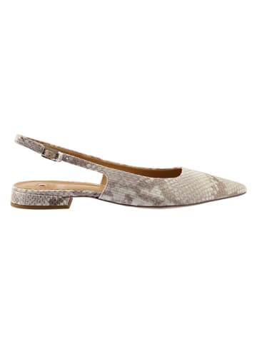 Högl Slingballerinas in Beige