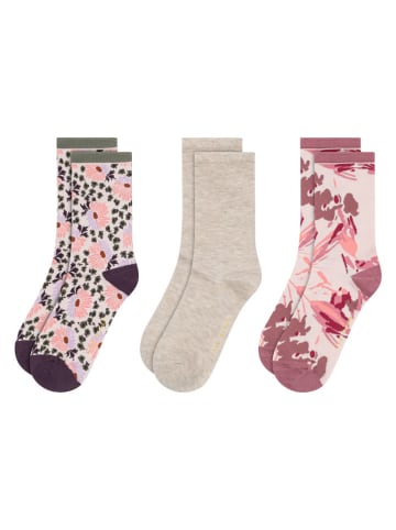 Ted Baker 6er-Set: Socken in Beige/ Rosa