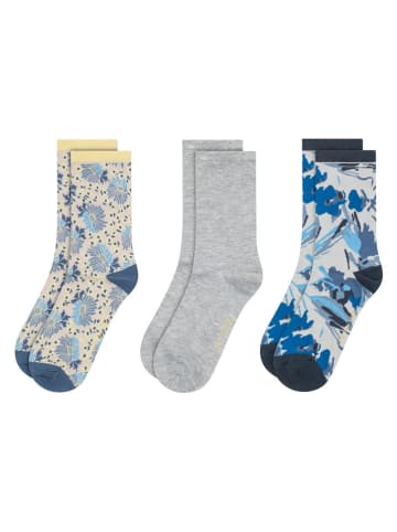 Ted Baker 6er-Set: Socken in Grau/ Beige