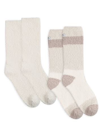 Lemon socks 6er-Set: Socken in Beige