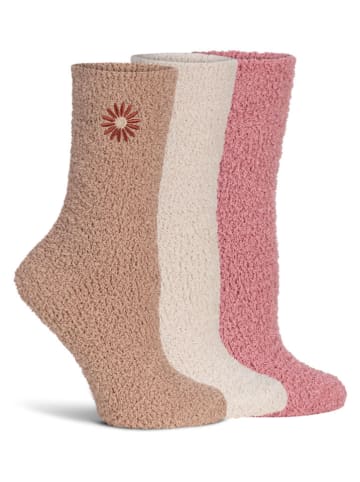 Lemon socks 6er-Set: Socken in Beige/ Rosa