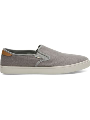 TOMS Slipper in Grau
