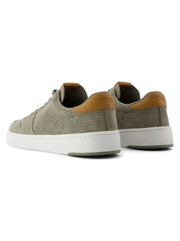TOMS Leder-Sneakers in Khaki