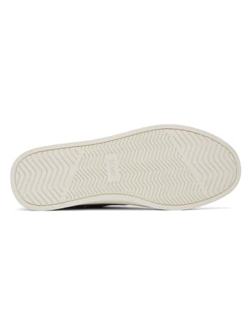 TOMS Sneakers in Grau