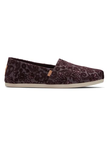 TOMS Espadrilles in Lila