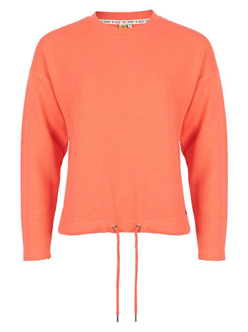 Roadsign Sweatshirt in Orange