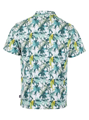 Roadsign Poloshirt in Blau/ Grün/ Gold