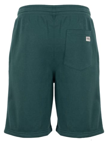 Roadsign Bermudy w kolorze zielonym