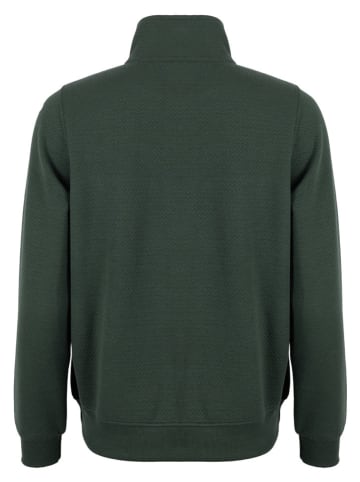 Roadsign Bluza w kolorze zielonym