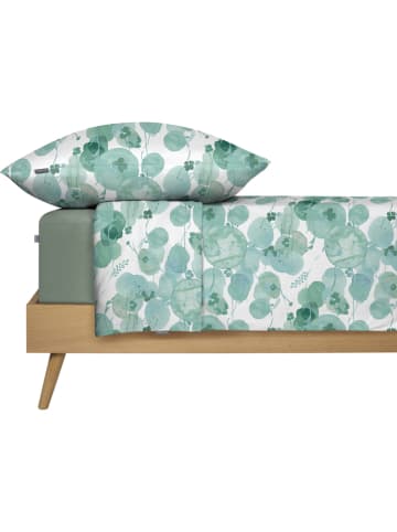 Schiesser Renforcé beddengoedset "Mia" groen