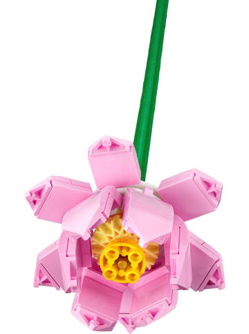 LEGO LEGO® Creator: Lotusblumen - ab 8 Jahren