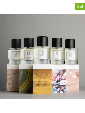 Sentier 5-delige parfumset "Ultimate Journey Collection" - eau de parfum, elk 100 ml